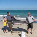 Sailfish Cabo Pulmo Fishing